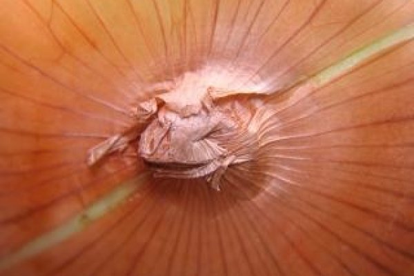 Смотреть сайт кракен kraken ssylka onion